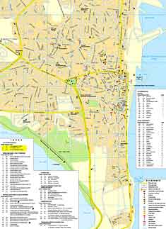 larnaka town street map cyprus